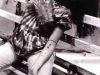fotosamazonas1